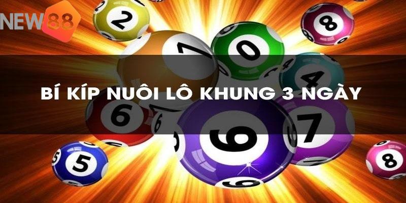 Lô Khung Là Gì? Các Loại Lô Khung Phổ Biến Hiện Nay 3 Lô khung nuôi 3 ngày