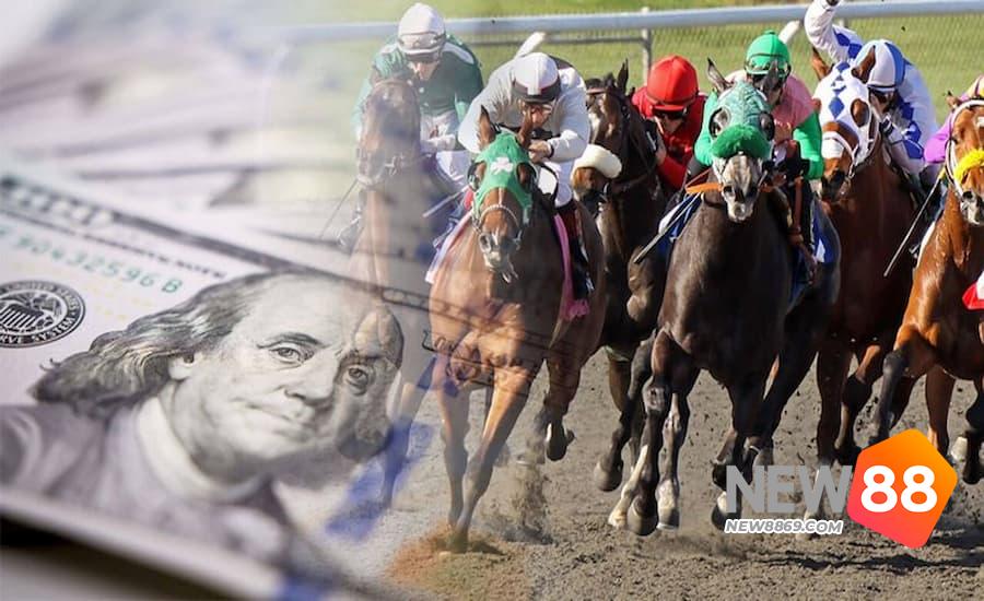 Tìm hiểu thông tin về các chú ngựa chiến tham gia