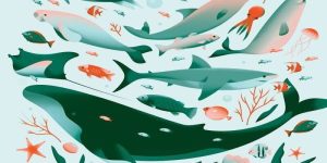 Mơ bắt cá thì đánh số gì?