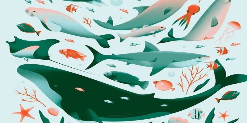 Giải mã giấc mơ bắt cá báo hiệu điềm báo gì trong tương lai 3 Mơ bắt cá thì đánh số gì?