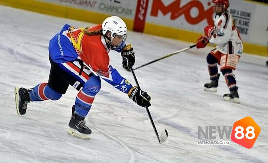 Cá cược hockey new88