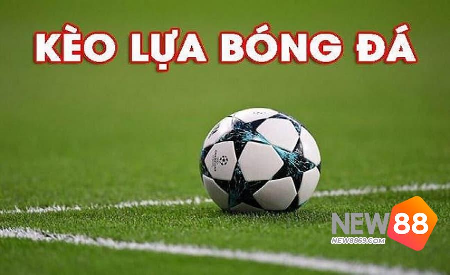 Giới thiệu về kèo lựa