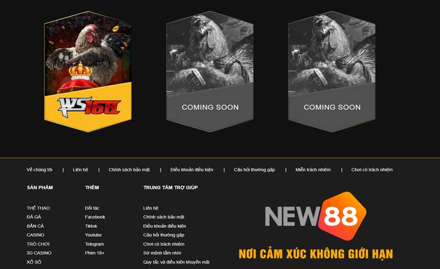 Trận đấu đá gà Mộc Bài được tổ chức quy củ, công khai, minh bạch