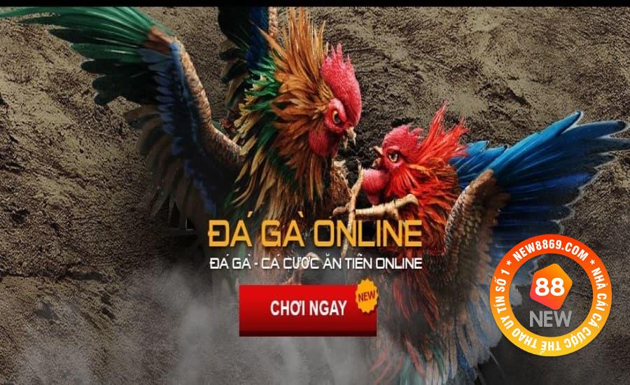 Sảnh cược đá gà CMD368 